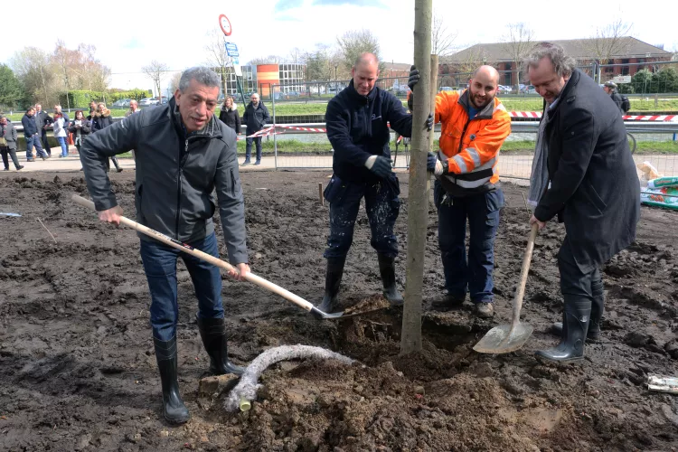 Le Port plante 25 arbres pour fêter son 25e anniversaire